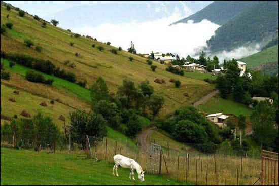 جملات زیبا درباره شمال؛ متن های قشنگ درباره شمال زیبا