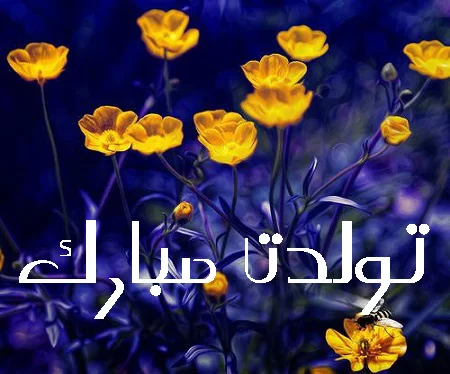 متن تبریک تولد جدید و متفاوت + 100 جملات شیک و خاص برای تولدت مبارک