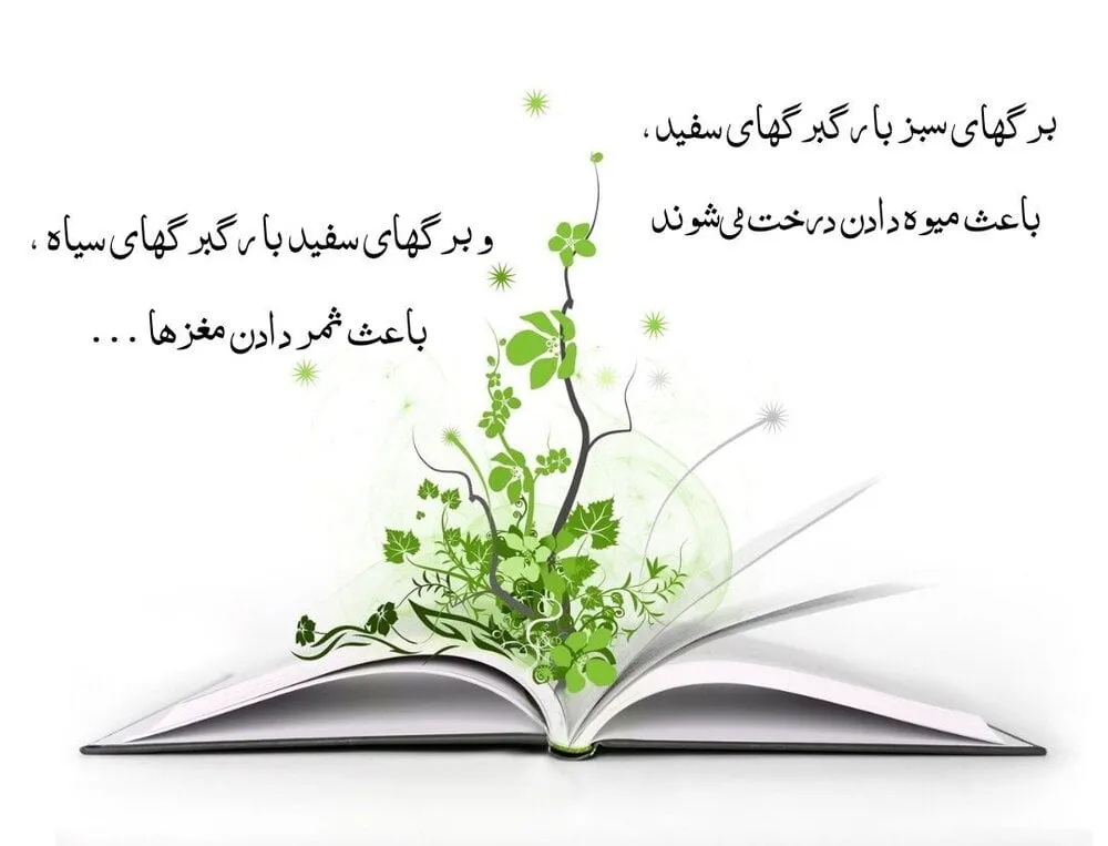 متن در مورد کتاب؛ جملات، اشعار، عکس و دلنوشته درباره کتاب خواندن