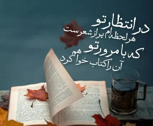 متن در مورد کتاب؛ جملات، اشعار، عکس و دلنوشته درباره کتاب خواندن