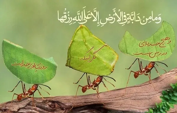 متن درباره روزی حلال؛ جملات سنگین درباره کسب و کار ورزق و روزی حلال