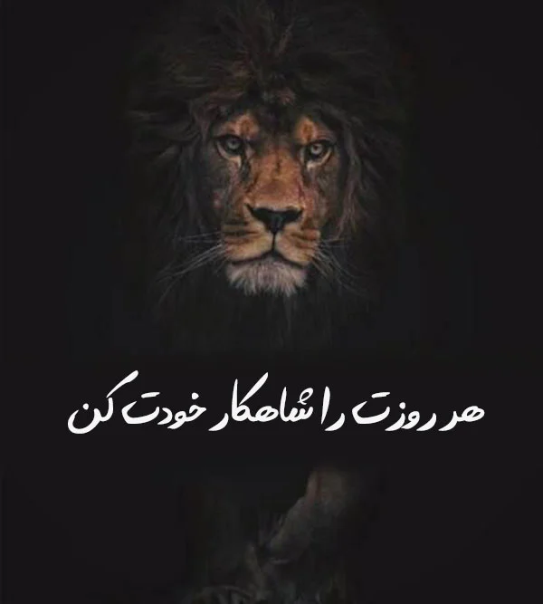 جملات انگیزشی کوتاه | 50 متن انرژی دهنده خیلی کوتاه