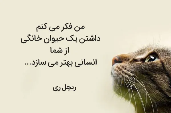 جملاتی درباره از دست دادن حیوانات خانگی؛ متن های غم انگیز برای پت