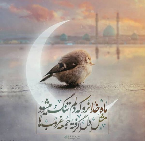 اشعار وداع ماه رمضان با شعر خداحافظی ماه عبادت و روزه داری