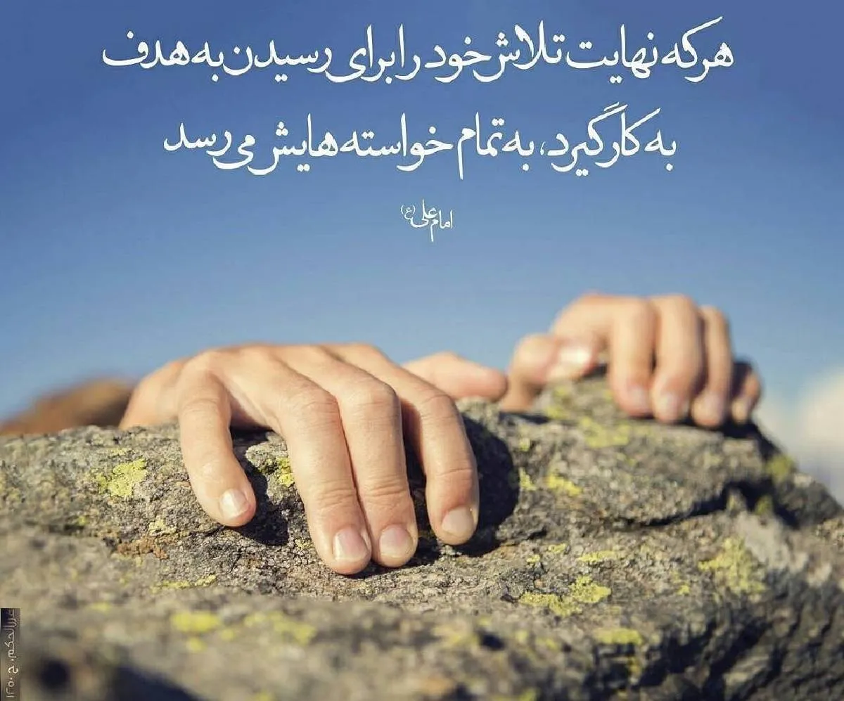 سخنان امام علی (ع) درباره زندگی؛ جملات ناب آموزنده مذهبی حضرت علی