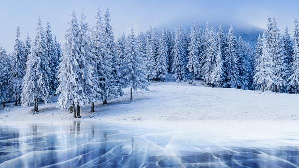 متن در مورد زمستان ❄️ ؛ 100 جمله عاشقانه برف و باران زمستانی