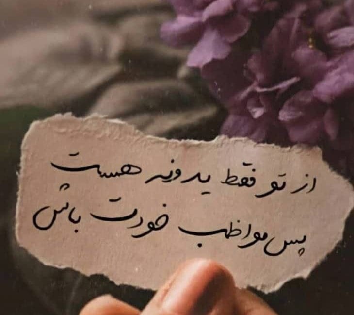 جملات قشنگ ناب؛ متن های بسیار زیبا درباره زندگی از خردمندان