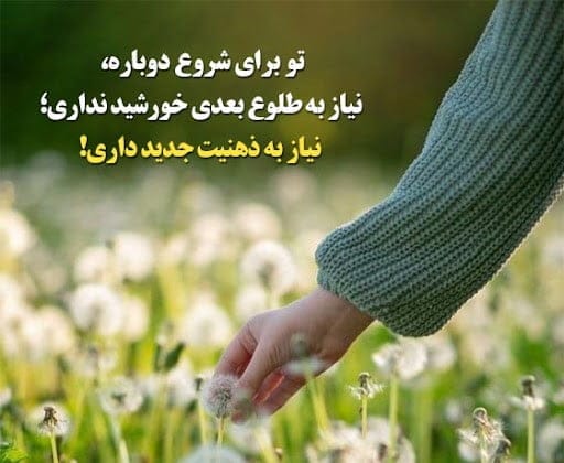 جملات قشنگ ناب؛ متن های بسیار زیبا درباره زندگی از خردمندان