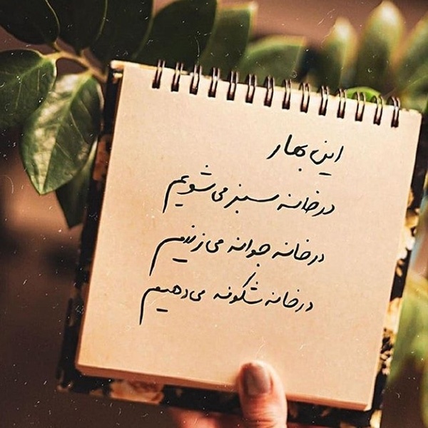 جملات عاشقانه بهاری + متن های کوتاه و خاص در مورد زیبایی فصل بهار