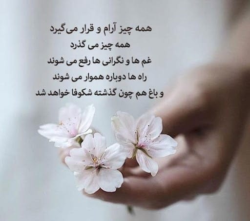 جملاتی از نویسندگان بزرگ روسی؛ سخنان ارزشمند و با معنی از 6 نویسنده