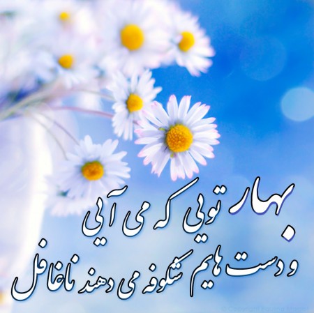 شعر کوتاه فصل بهار + اشعار نو و سنتی زیبا و عاشقانه در مورد فصل زیبای بهار