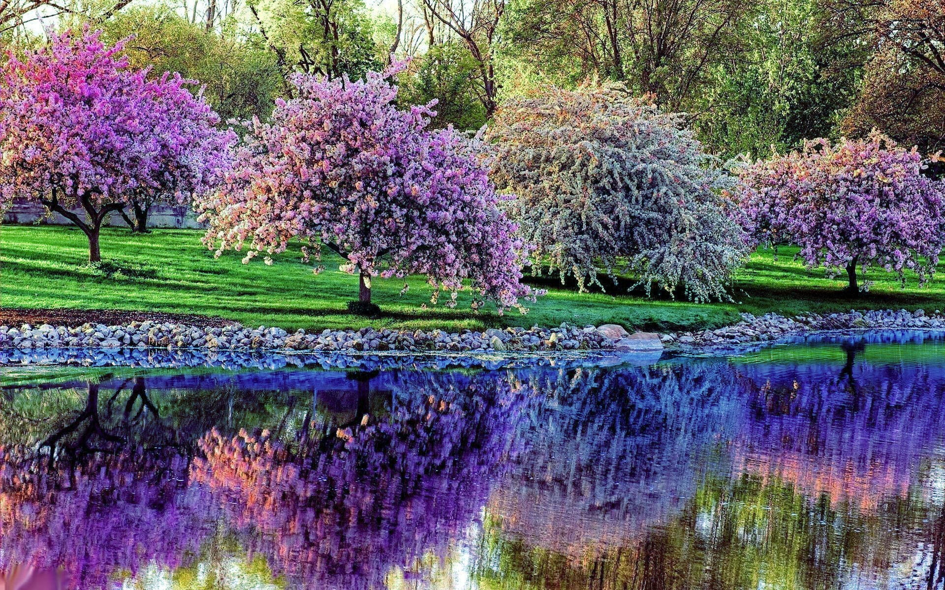 متن و جملات سلام صبح بخیر بهاری + صبحت بخیر زیبا برای همسر و دوستان