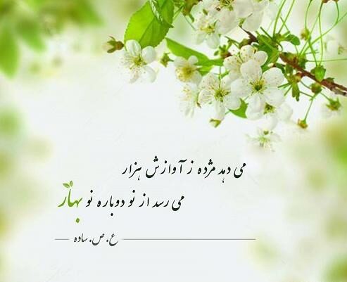 اشعار شکوفه های بهاری و مجموعه شعر سرسبزی و زیبایی بهار