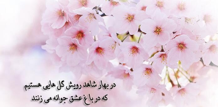 اشعار شکوفه های بهاری و مجموعه شعر سرسبزی و زیبایی بهار