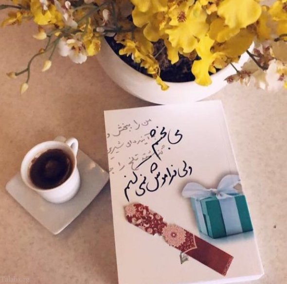 متن برای بخشش همسر + جملات کوتاه برای گذشت از خطای همسر و بخشیدن