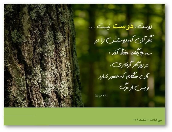 عکس نوشته سخنان حضرت علی (ع) + سخنان و جملات ناب آموزنده از امام علی (ع)