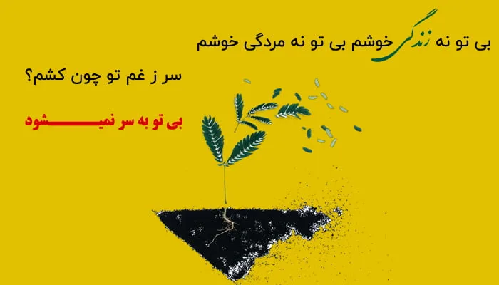 شعر زندگی از مولانا + مجموعه اشعار کوتاه و بلند زیبا با موضوع زندگی