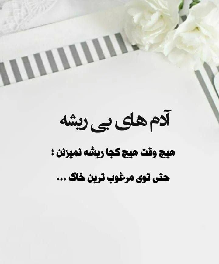متن آدم بی رگ و ریشه + متون و اشعار اصالت و نداشتن ریشه