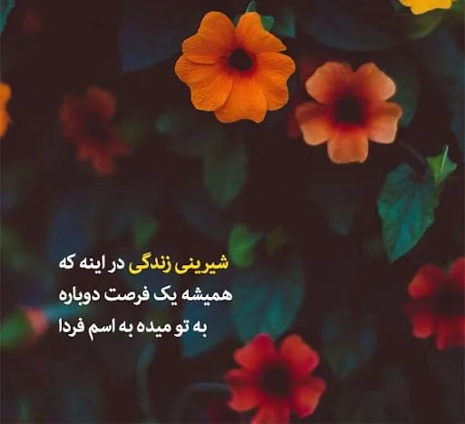 متن در مورد شیرینی زندگی؛ جملات درباره زندگی لذت بخش و ایده آل