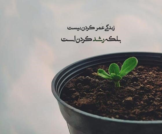 معروف ترین جملات انگیزشی زندگی؛ جدیدترین متن های انگیزه دهنده خاص