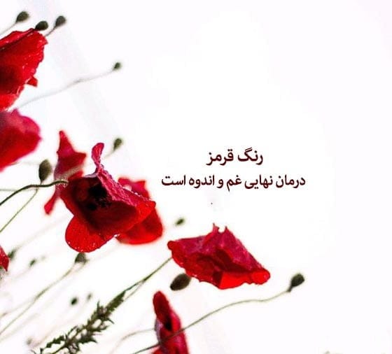 شعر و متن درباره رنگ قرمز ( جملات زیبا و احساسی در رنگ قرمز )