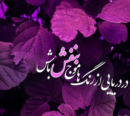 شعر و متن درباره رنگ بنفش ( جملات جالب و احساسی درباره بنفش )