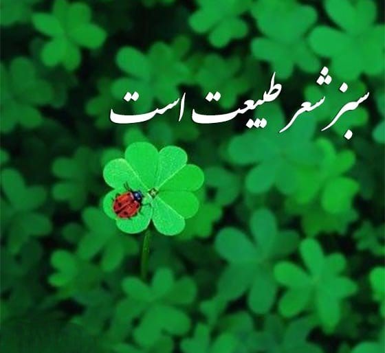 متن و شعر درباره رنگ سبز (اشعار و جملات احساسی سبز رنگ)