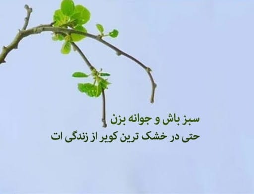 متن و شعر درباره رنگ سبز (اشعار و جملات احساسی سبز رنگ)
