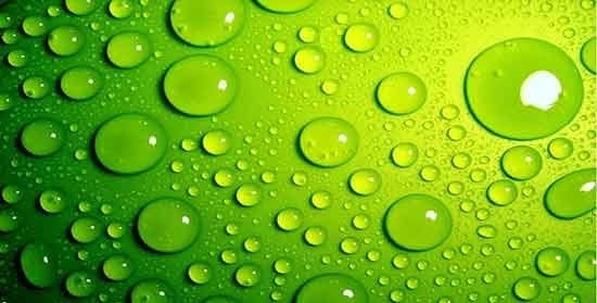 متن و شعر درباره رنگ سبز (اشعار و جملات احساسی سبز رنگ)