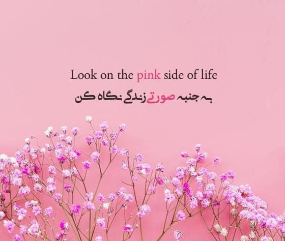 شعر و متن درباره رنگ صورتی ( جملات جالب در مورد رنگ صورتی )