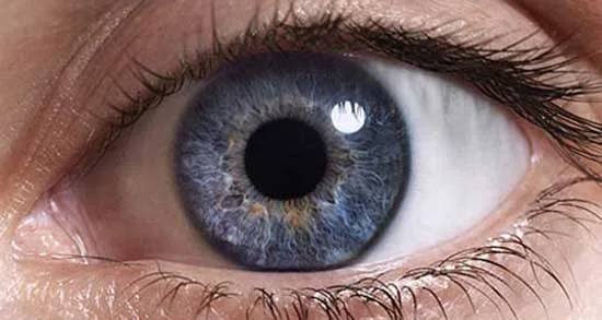 جملات انگلیسی برای چشم رنگی ها و تبریک روز چشم رنگی جملات انگلیسی برای چشم رنگی ها و تبریک روز چشم رنگی