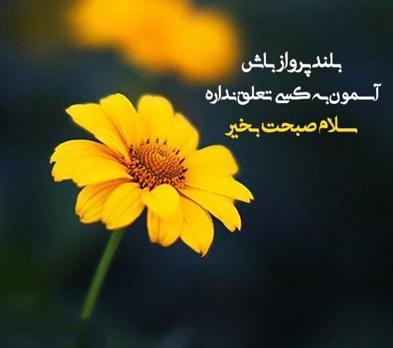 متن صبح بخیر زیبا و پر انرژی جدید { 50 متن فوق العاده زیبای صبحت بخیر}
