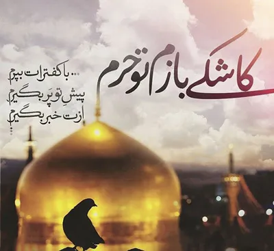 سخن بزرگان درباره امام رضا (ع) و جملاتی زیبا در وصف امام هشتم