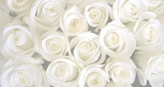 شعر و متن درباره رنگ سفید (جملات و عکس نوشته در مورد رنگ سفید زیبا)
