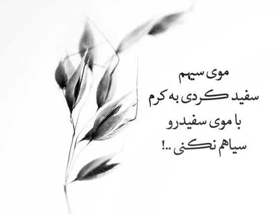 شعر و متن درباره رنگ سفید (جملات و عکس نوشته در مورد رنگ سفید زیبا)