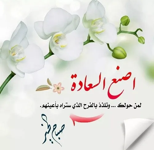 صبح بخیر عربی با ترجمه فارسی؛ 40 متن صباح الخیر یا صبحت بخیر عربی