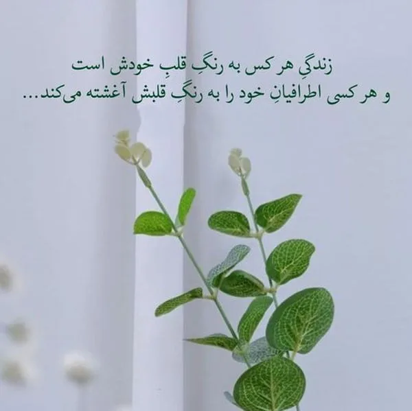 متن آموزنده خاص (جملات ویژه آموزنده زیبا از بزرگان)