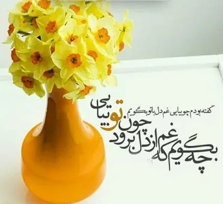 جملات احساسی در مورد گل (50 متن و شعر در مورد گل های زیبا)