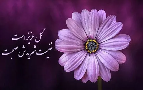 جملات احساسی در مورد گل (50 متن و شعر در مورد گل های زیبا)