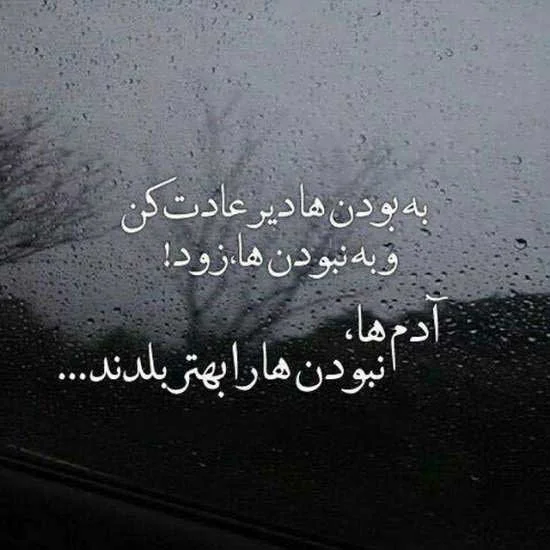 متن ناب (جملات ناب و زیبای حکیمانه | عاشقانه | عارفانه
