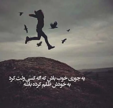 متن ناب (جملات ناب و زیبای حکیمانه | عاشقانه | عارفانه
