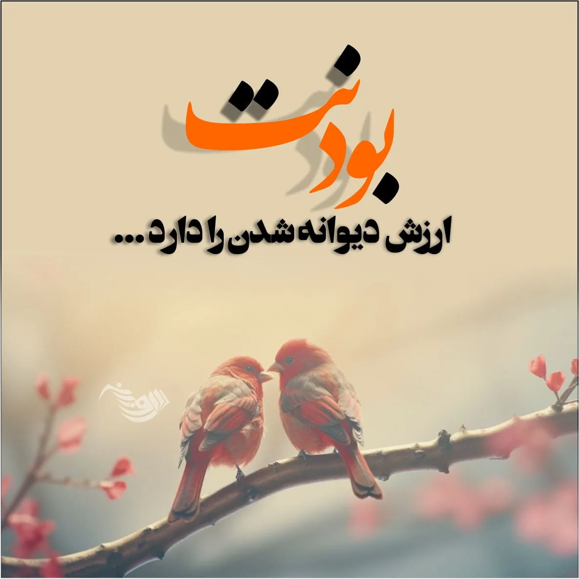 جملات دلبری عاشقانه + متن های احساسی رمانتیک برای همسرم