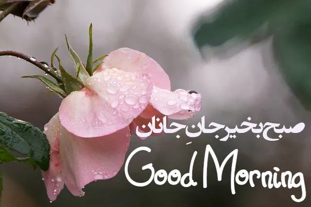 صبح بخیر جانانه و با انرژی؛ پیامک و اس ام اس پر انرژی صبحت بخیر
