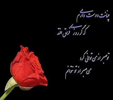 جملات عاشقی از بزرگان + متن و سخنان نویسندگان در مورد عشق و عاشق