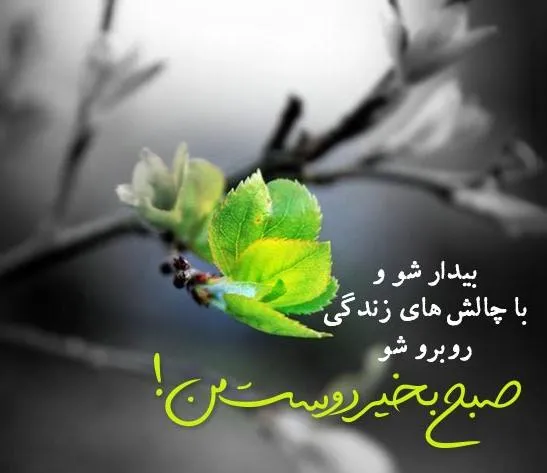 پیامک صبح بخیر دلنشین و زیبا؛ اس ام اس صبح بخیر امروز به عزیزان