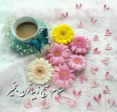 پیامک صبح بخیر دلنشین و زیبا؛ اس ام اس صبح بخیر امروز به عزیزان