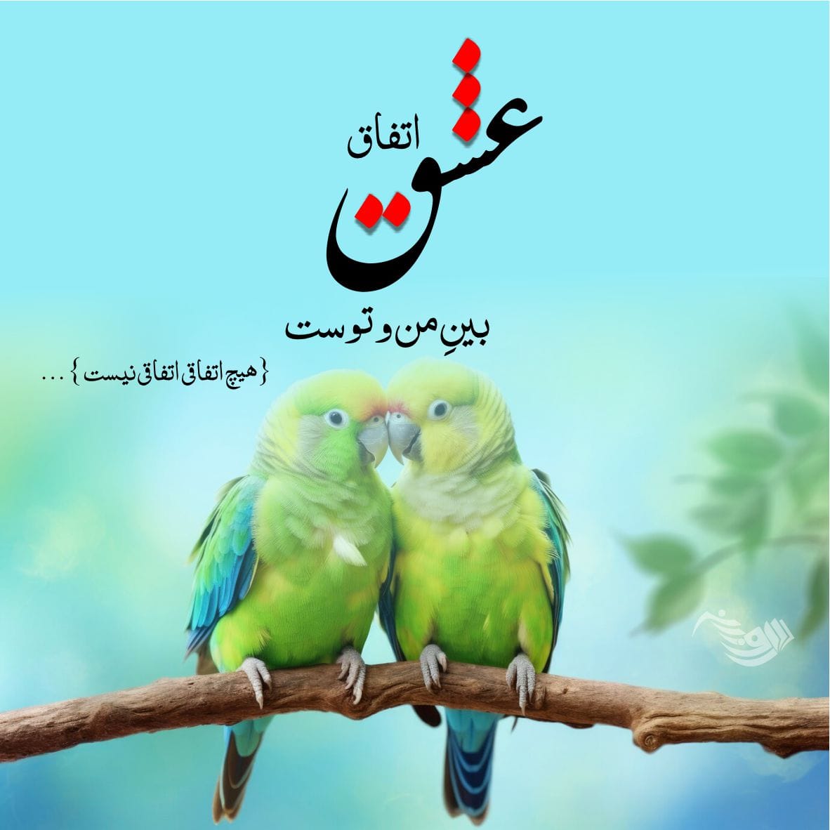 خاص ترین جملات عاشقانه + زیباترین اشعار و متن های کوتاه عاشقانه و احساسی