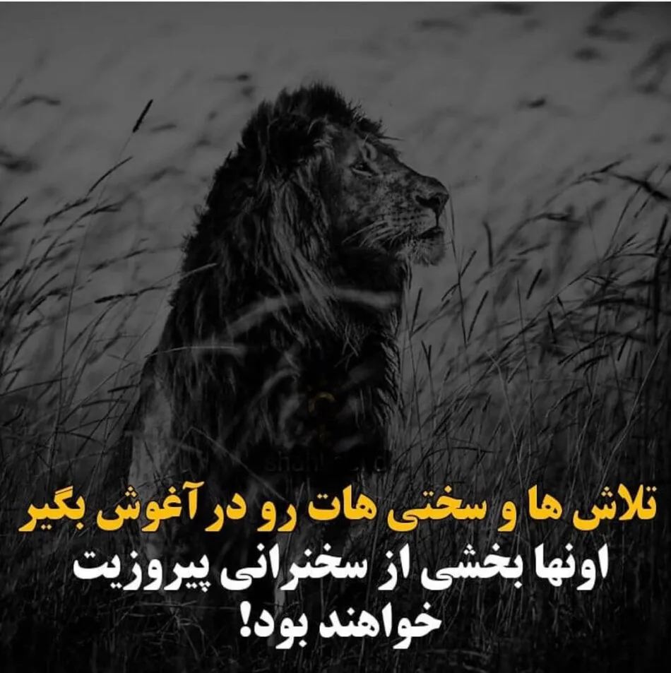 استوری انگیزشی خفن با انرژی؛ جملات جدید کپشن و استوری بالا بردن انگیزه