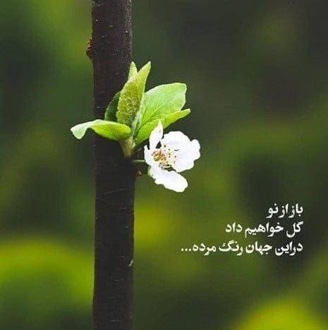استوری انگیزشی خفن با انرژی؛ جملات جدید کپشن و استوری بالا بردن انگیزه