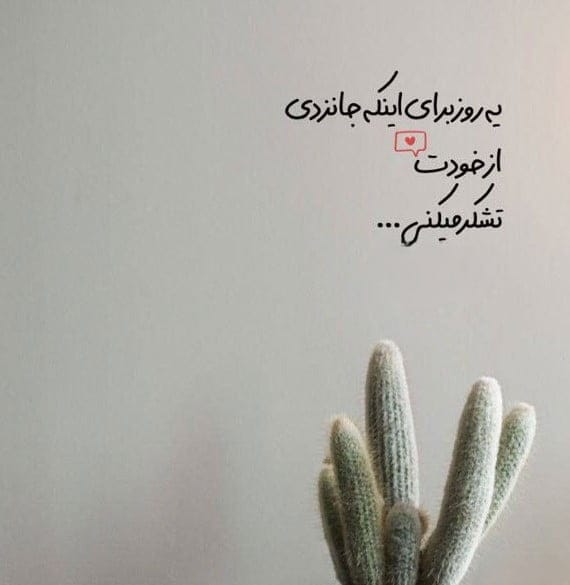 استوری انگیزشی زندگی و امید [ 60 متن انگیزه بخش و امید بخش جدید ]